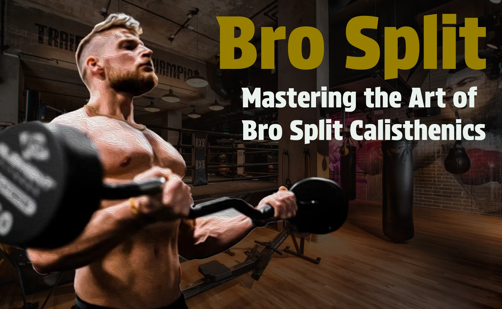 Best bro split workout routine sale